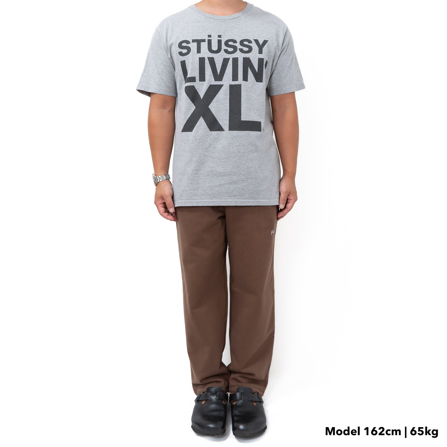 STUSSY Tシャツ