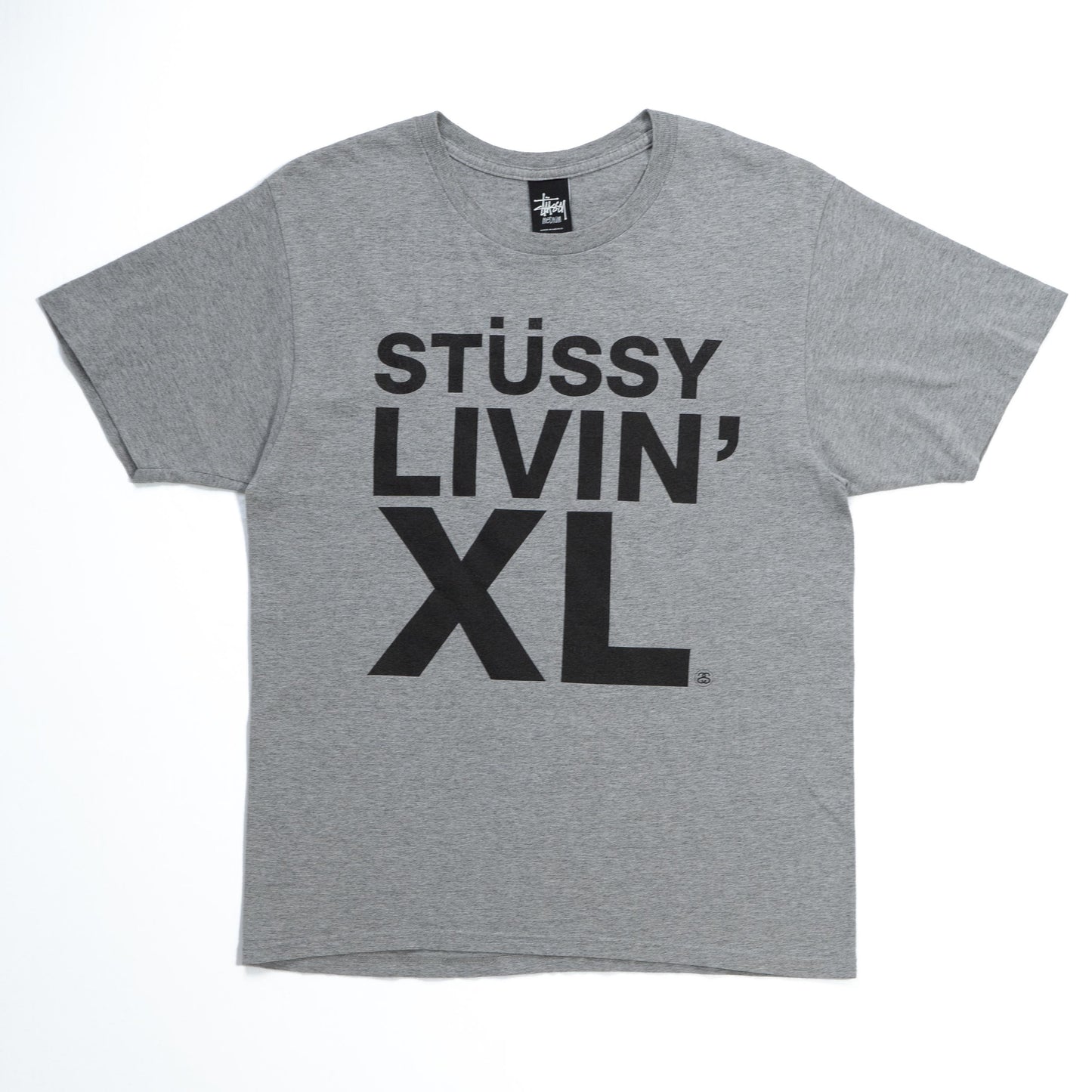 STUSSY Tシャツ