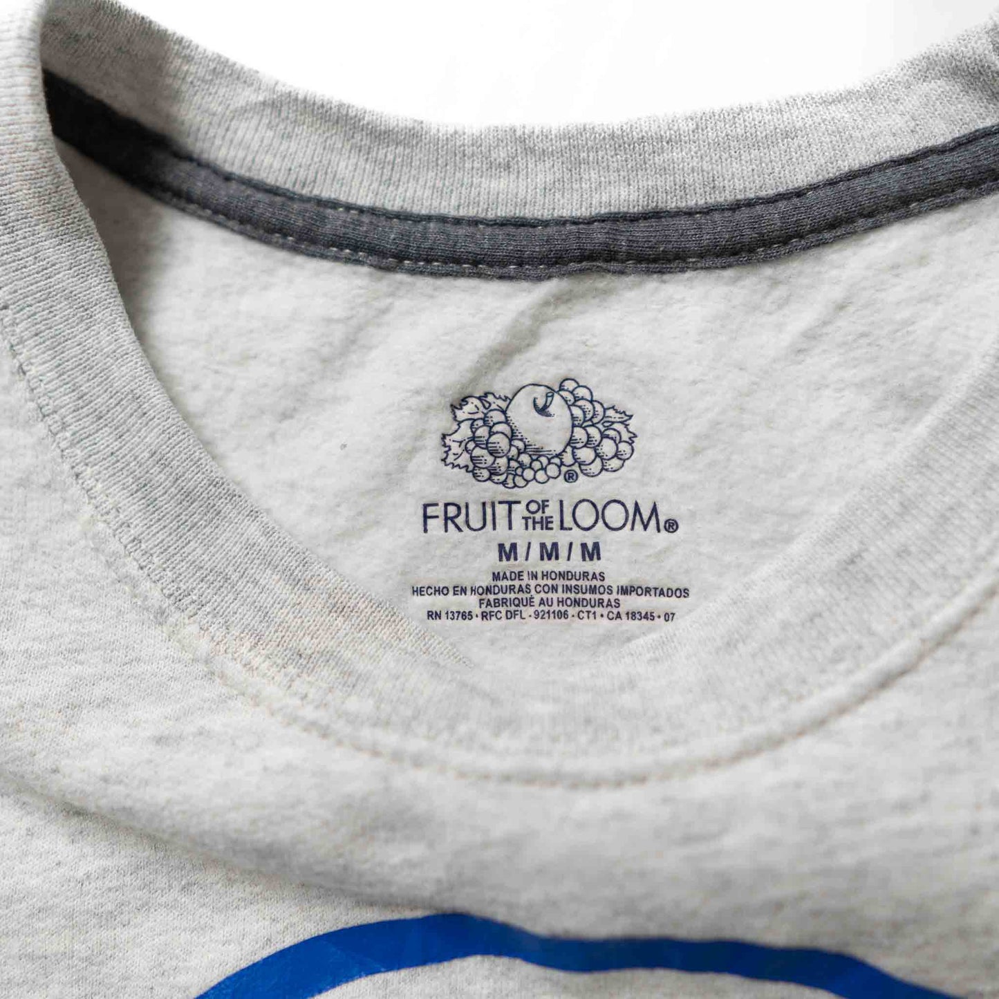 FRUIT OF THE ROOM プリント スウェット