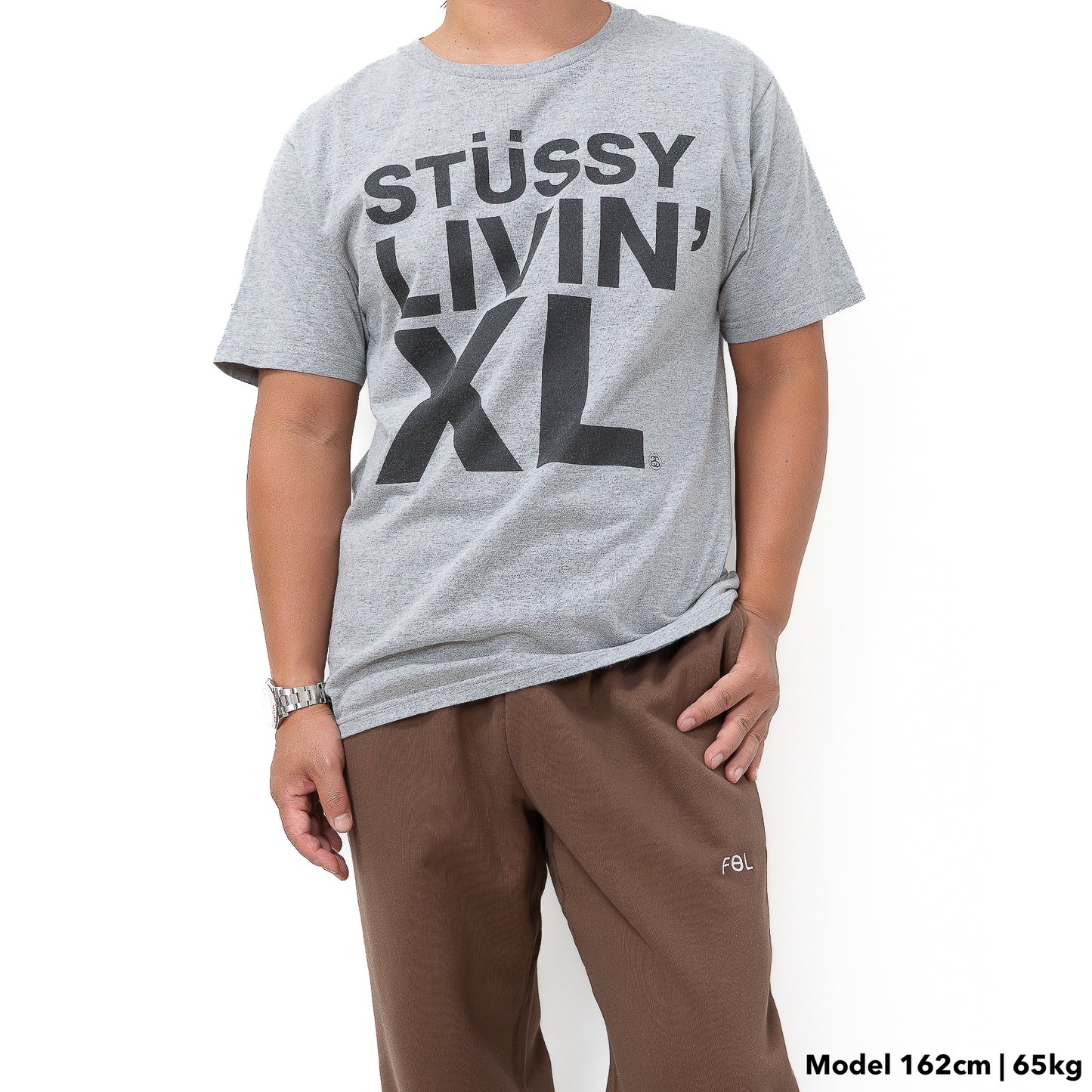 STUSSY Tシャツ