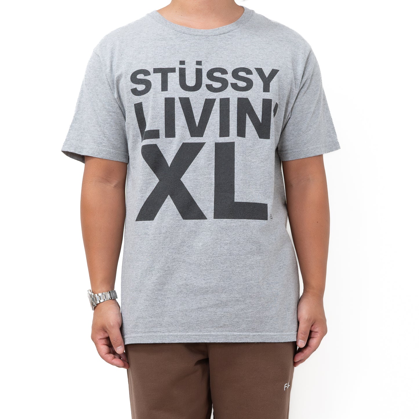 STUSSY Tシャツ